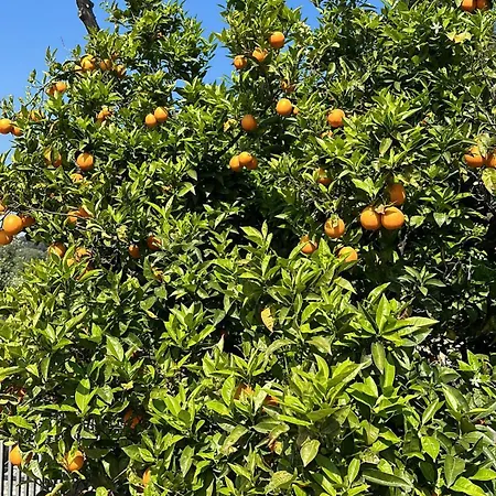 Appartement Nikita Casa Dei Limoni Napels